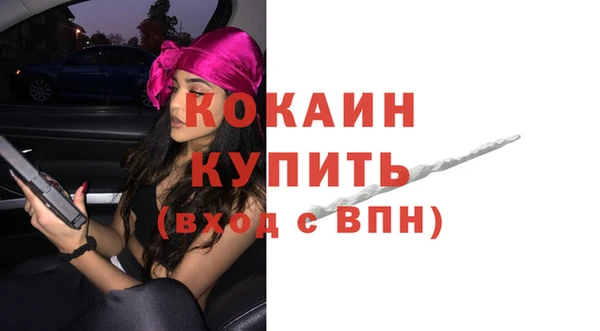 ГАЛЛЮЦИНОГЕННЫЕ ГРИБЫ Кодинск