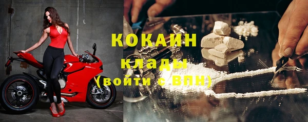 ГАЛЛЮЦИНОГЕННЫЕ ГРИБЫ Кодинск
