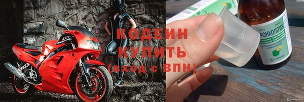 ГАЛЛЮЦИНОГЕННЫЕ ГРИБЫ Кодинск