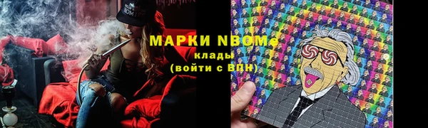 ГАЛЛЮЦИНОГЕННЫЕ ГРИБЫ Кодинск