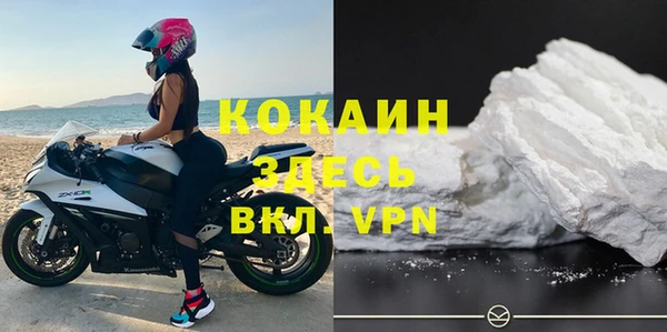 ГАЛЛЮЦИНОГЕННЫЕ ГРИБЫ Кодинск